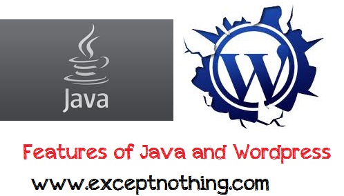 features of java and wordpress